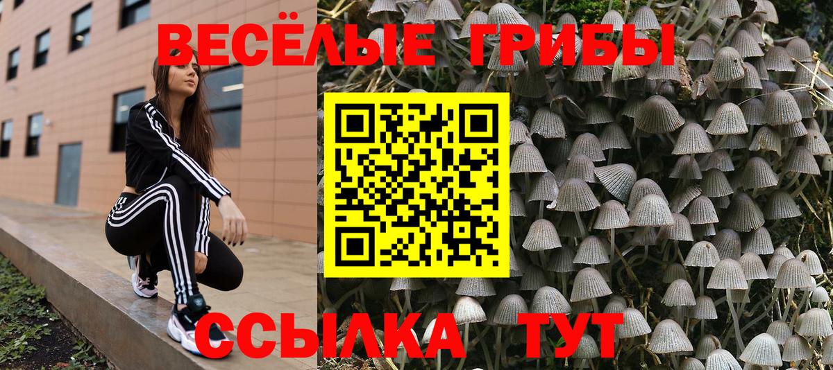 Галлюциногенные грибы MAGIC MUSHROOMS  Вход с VPN  Вязьма 