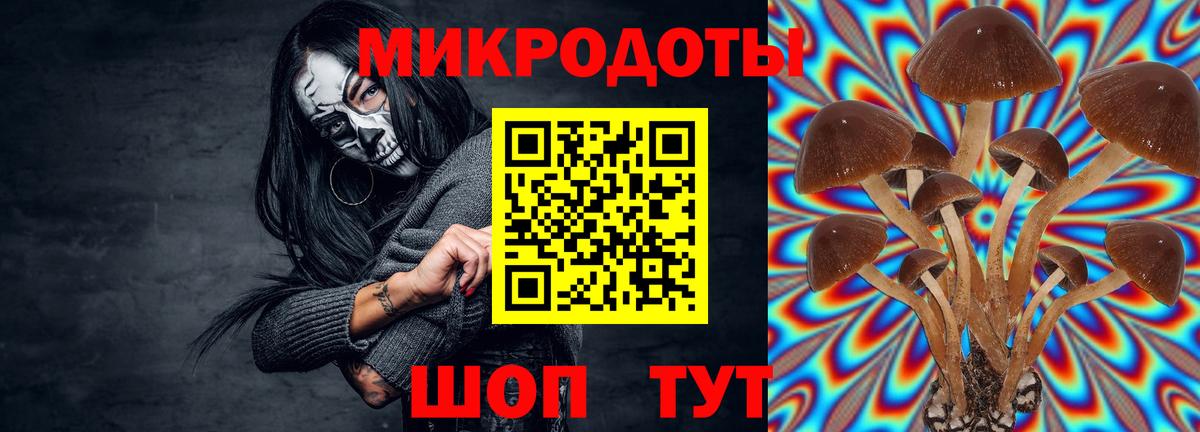 Псилоцибиновые грибы Magic Shrooms Вязьма